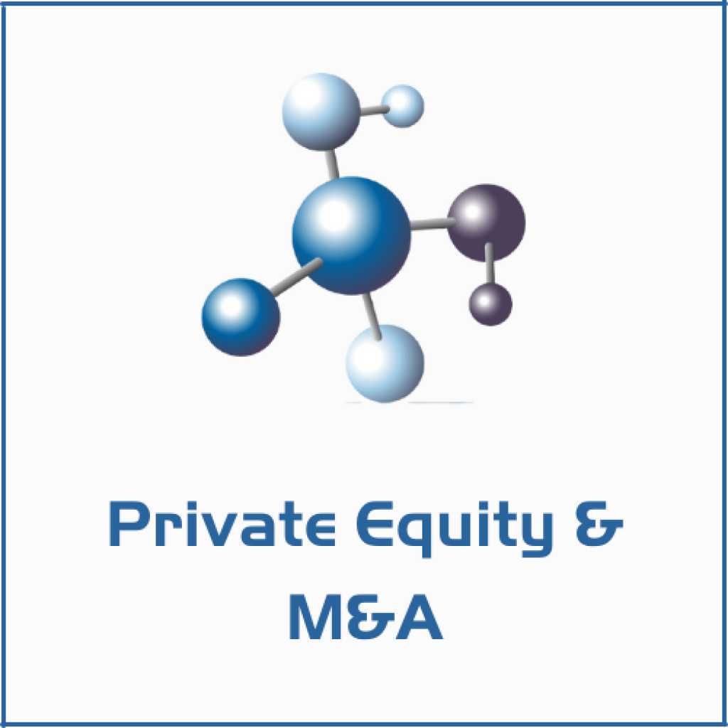 Private Equity M A Matrix Global Services